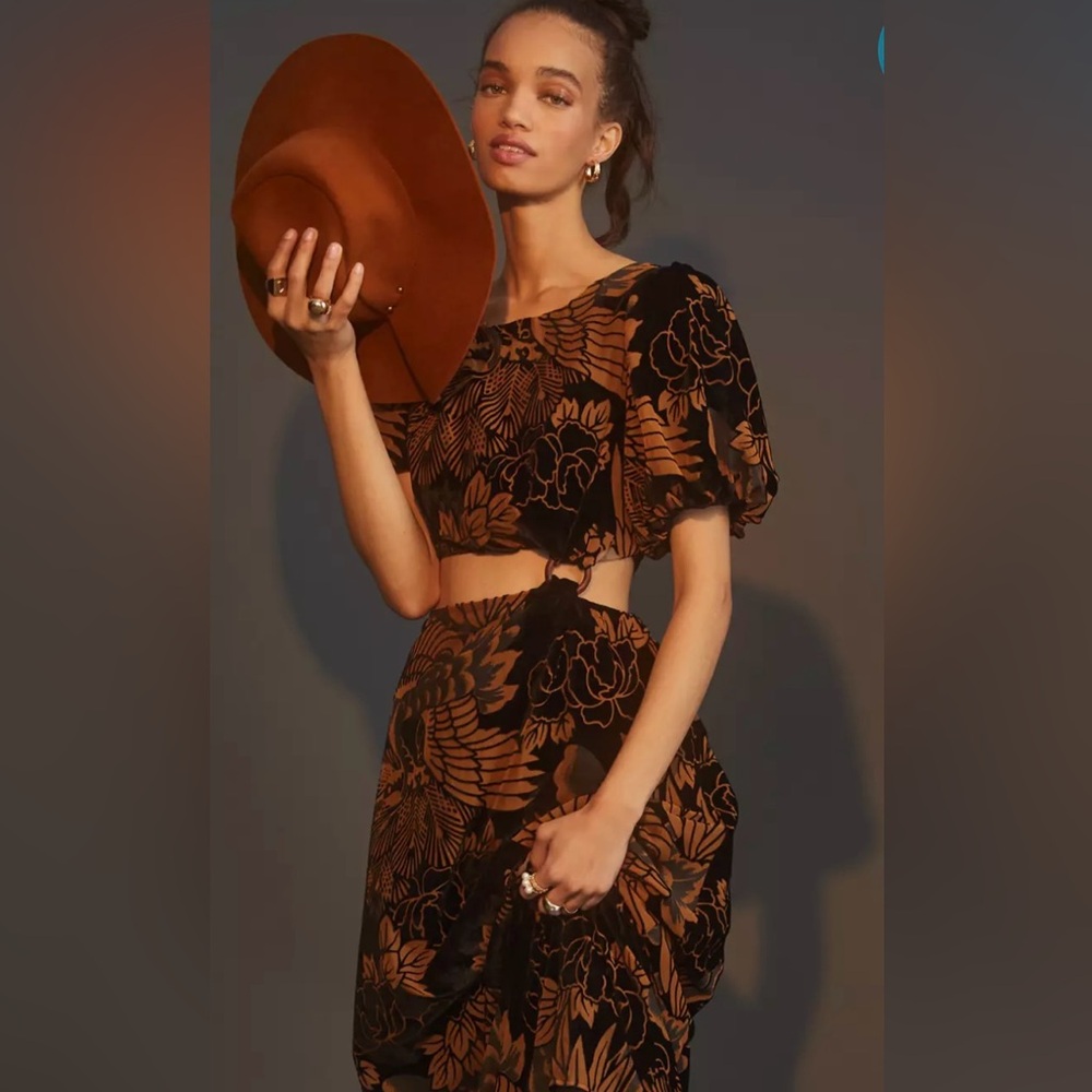 Anthropologie Burnout Velvet Cutout Maxi Dress  SZ M Dark Romantic Whimsigoth